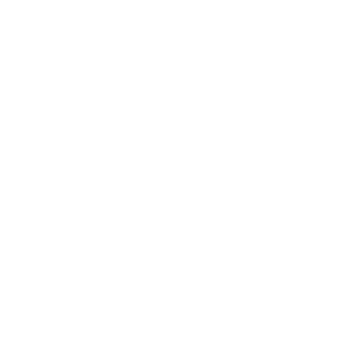 Generation Z Smartphone