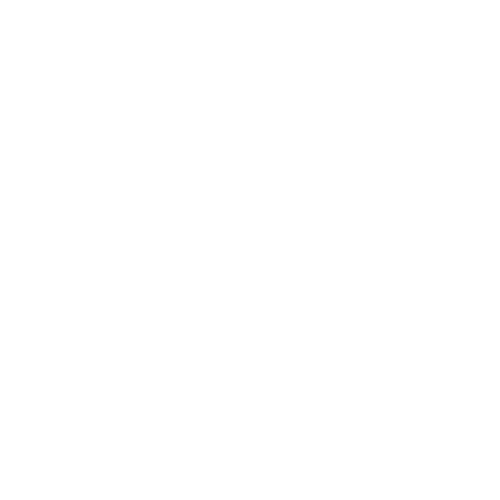 Generation Z Werte