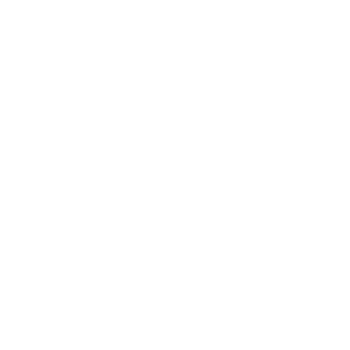 Generation Z Leben